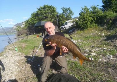 31218625 180859582734417 3094333549457702912 n 31218625 180859582734417 3094333549457702912 n