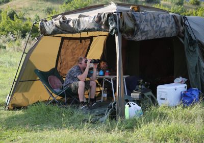 354233692 1420043215482708 765410681827406354 n 354233692 1420043215482708 765410681827406354 n