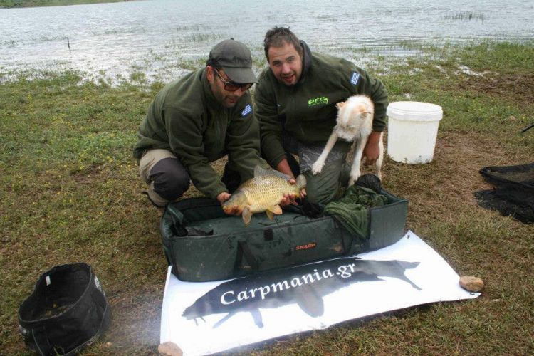 13006619 1372580209434116 2515853487413818774 n 13006619 1372580209434116 2515853487413818774 n